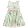 Lesy Green Embroidered Tulle Dress