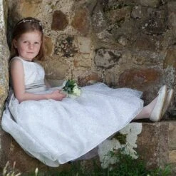 Nicki Macfarlane Silver Organza Dress & Silk Sash 11 Nicki Macfarlane Silver Organza Dress & Silk Sash -Babie Fashion Shop nicki macfarlane silver organza dress silk sash 83920 0f27d8bf0d346acd42e8a51371dcc0e111d532aa